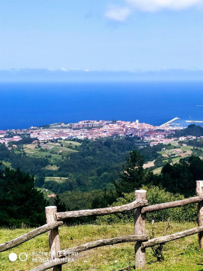 Bermeo Y Urdaibai - Parking-Ascensor - Wifi - Tranquilo Lejlighed Eksteriør billede
